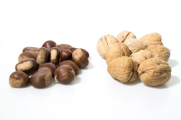 Chestnuts and nuts isolated in a white background