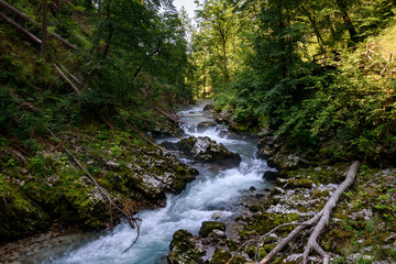 The Vintgar Gorge in Slovenia. Famous canyon with river Radovna, waterfalls and wooden bridges pathway. Touristic landmark of Slovenia.