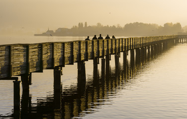 long wooden pier and boardwalk over Lake Zurich near rapperswill in golden evening light with silhouette of pedestrians and people walking and mountains in the background