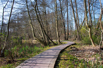 plankway through forest around briese river near berlin, germany in winter
