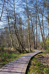 plankway through forest around briese river near berlin, germany in winter