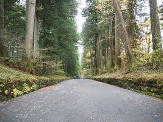 参道