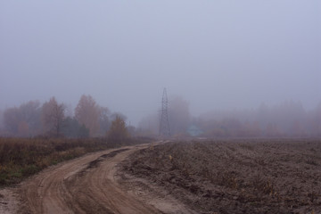 Rural road in fog in autumn morning