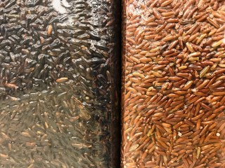 Hom nil brown (left) and Sang yod brown rice (right) in vacuum bag