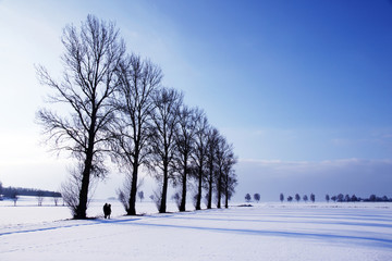 Winter landscape, Winter, Winterlandschaft, Winterspaziergang, Textraum, copy space