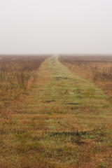 Rural road in fog in autumn morning