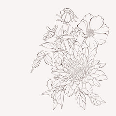 Vector dahlia flowers and tea rose. Autumn flowers bouquet.  Element for design. Sketch hand-drawn contour lines and strokes.