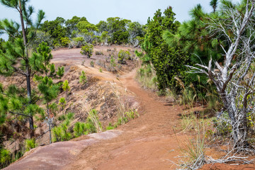 Nu'alolo Trail Parking, Kauai, Hawaii