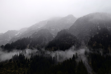 fog in the mountains on morning, at German Alp Mountains