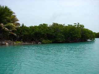 tropical island in belize