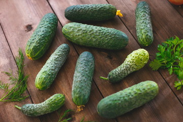 Fresh green cucumbers and parsley on a table of natural wood