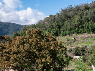 Fototapeta na wymiar The beautiful Ribeira de Machico Valley, viewed from the levada do Canico, Madeira.
