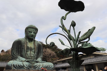 鎌倉・高徳院の大仏