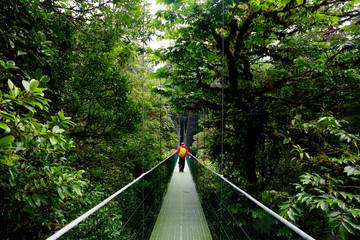 A man walking on suspension bridge in cloud forest 