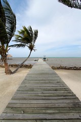 wooden walkway to the beach