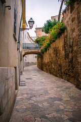 narrow street in old town with a bridge