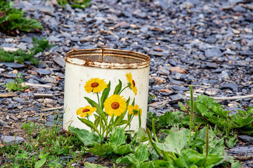 Memory Canister