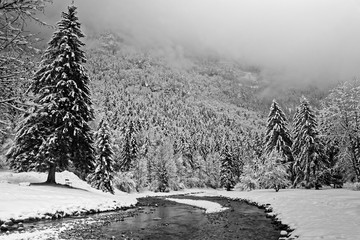 Winter in a mountain river landscape in Black and white
