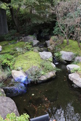 鎌倉・長谷寺の日本庭園