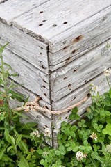 Old wooden box with rope
