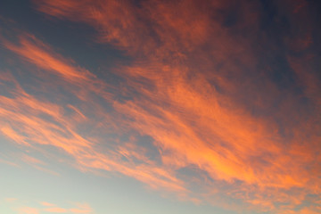 Fototapeta premium Beautiful red cirrus clouds at sunset. Background. Landscape.