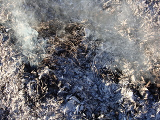Burning leafs. Flames, gray ash and white smoke