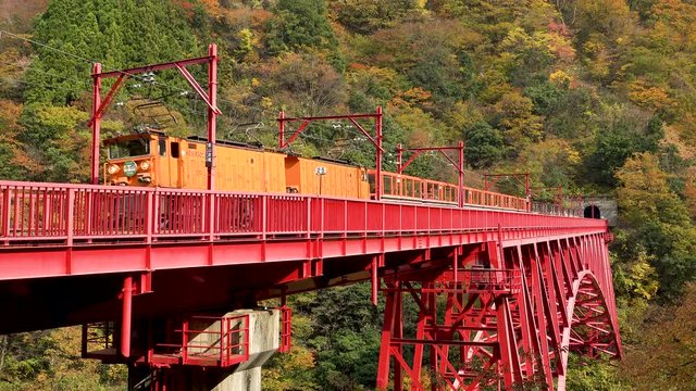 秋の黒部峡谷鉄道のトロッコ電車　日本の富山県黒部市宇奈月温泉
