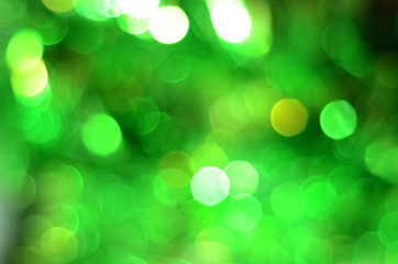 Green bokeh lights defocused background