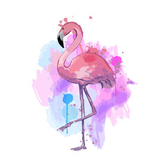 Pink watercolor flamingo. Beautiful vector illustration isolated on white background. © our_Vector