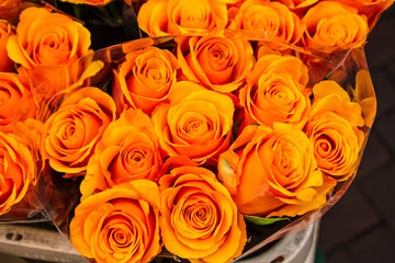 bouquet of orange roses