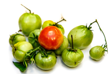Natural organic tomatoes, green and orange on white background with shadow.