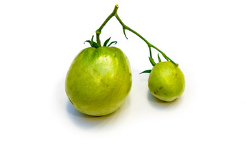 Natural organic tomatoes, green and orange on white background with shadow.