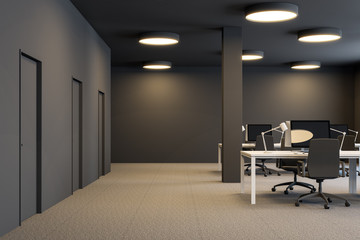 Brown industrial style office interior, doors