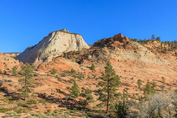 Scenic Zion National Park Landscape