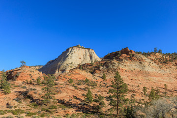 Scenic Zion National Park Landscape