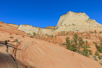 Scenic Zion National Park Landscape