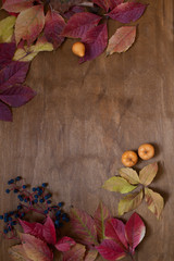 Red and yellow leaves of autumn wood background