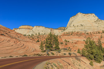 Scenic Zion National Park Landscape