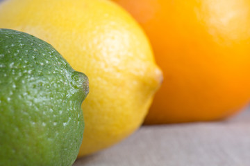Fresh lime, lemon and orange, three citrus fruits