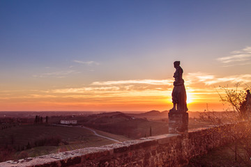 Fototapeta premium Sunset in the vineyards of Rosazzo