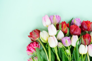 Bouquet of fresh tulips flowers on pastel green ment background