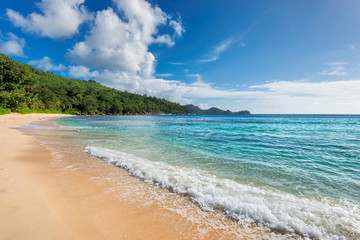 Caribbean beach and tropical island. Summer vacation and tropical beach concept.  