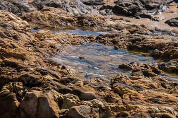 Tidal pool on brown rough rock formation by the ocean