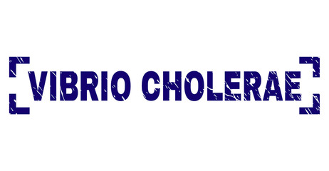 VIBRIO CHOLERAE tag seal print with corroded texture. Text caption is placed inside corners. Blue vector rubber print of VIBRIO CHOLERAE with scratched texture.