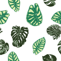 Seamless Exotic Pattern with Tropical Plants. Vector Background with Hand Draw Monstera Palm Leaves. Bright Rapport for Cloth, Textile Design. Jungle Foliage. Seamless Tropical Pattern with Alocasia.