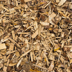 the texture of the coating of wood sawdust.  pieces of wood.