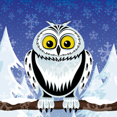 Owl sitting on a branch in the winter forest.