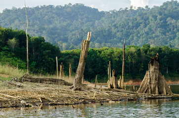 Beauty in nature surrounding tropical rainforest landscape of Royal Belum State Park located in Perak, Malaysia
