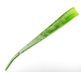 Aloe Vera Plant Isolated On White Background