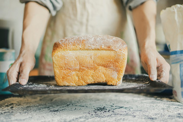 baker cook hands hold give fresh made bread f